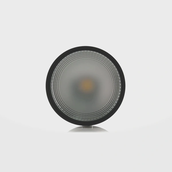 Surface downlight Nella Surface Mounted 12V 3CCT LED 18W BLK